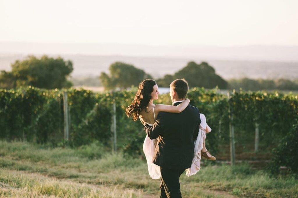 Groom carrying bride in a white dress through a sunny vineyard landscape